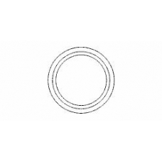496360 ERNST Уплотнительное кольцо, труба выхлопного газа