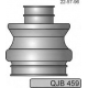 QJB459