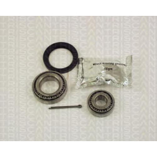 8530 11101 TRIDON Wheel bearing kit