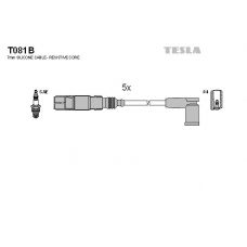 T081B TESLA Комплект проводов зажигания