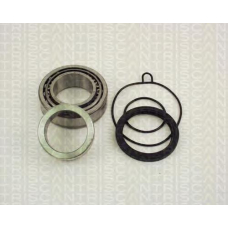 8530 29214 TRIDON Wheel bearing kit