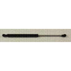 8710 27211 TRIDON Gas spring rear