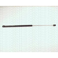 8710 24201 TRIDON Gas spring rear