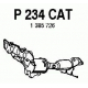 P234CAT