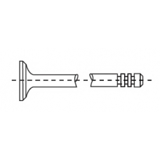 550519B CORTECO Впускной клапан