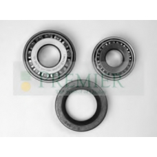 BRT366 BRT Bearings Комплект подшипника ступицы колеса