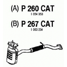 P260CAT FENNO Катализатор