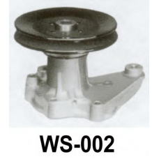 WS-002 ASCO Водяной насос