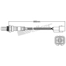 250-24241 WALKER Лямбда-зонд