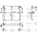 8ML 376 723-721 HELLA Интеркулер