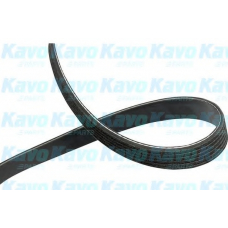 DMV-3051 KAVO PARTS Поликлиновой ремень