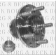 BWK816<br />BORG & BECK