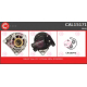 CAL15171<br />CASCO