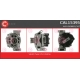 CAL15395