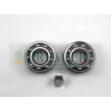 BRT511 BRT Bearings Комплект подшипника ступицы колеса