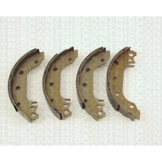 8100 16291 TRIDON Brake shoes