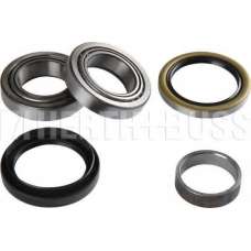 J4700912 NIPPARTS Комплект подшипника ступицы колеса