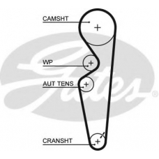 5431XS GATES Ремень ГРМ