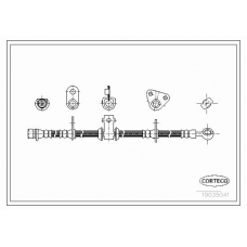19035041 CORTECO Тормозной шланг