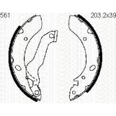 8100 43561 TRIDON Brake shoes