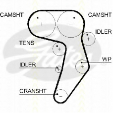 8645 5607xs TRISCAN Ремень ГРМ