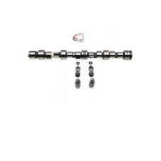 CP62284 CAMPRO Комплект распредвала