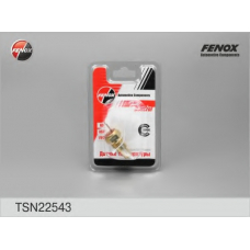 TSN22543 FENOX Датчик, температура охлаждающей жидкости