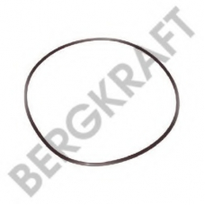 BK28311021SP Berg Kraft Уплотнительное кольцо