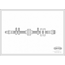 19018131 CORTECO Тормозной шланг