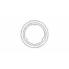 498708 ERNST Уплотнительное кольцо, труба выхлопного газа