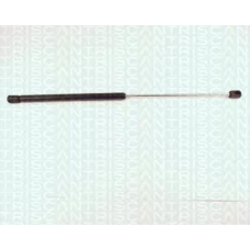 8710 1701 TRIDON Gas spring rear