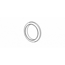 495578 ERNST Уплотнительное кольцо, труба выхлопного газа