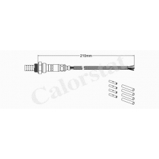 LS040041 CALORSTAT by Vernet Лямбда-зонд