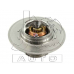 D21000 Japan Cars Coolant thermostat