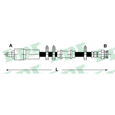 6T47856 LPR Тормозной шланг