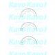 BS-9947 KAVO PARTS Комплект тормозных колодок