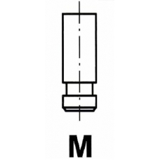VL144100 IPSA Впускной клапан