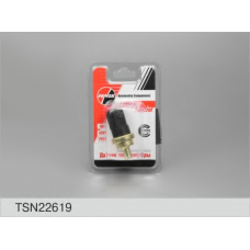 TSN22619 FENOX Датчик, температура охлаждающей жидкости
