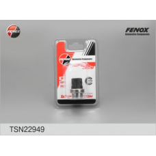 TSN22949 FENOX Датчик, температура охлаждающей жидкости