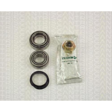 8530 10202 TRIDON Wheel bearing kit