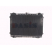 070990N AKS DASIS Радиатор, охлаждение двигателя