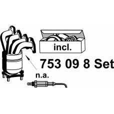 753098 ERNST Катализатор; Катализатор коллектора