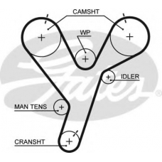 5446XS GATES Ремень ГРМ