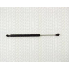 8710 11216 TRIDON Gas spring rear