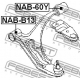 NAB-B13