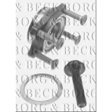 BWK1117 BORG & BECK Комплект подшипника ступицы колеса