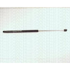 8710 29212 TRIDON Gas spring rear