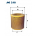 AG248 FILTRON Воздушный фильтр