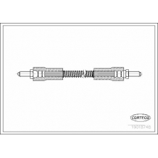 19018748 CORTECO Тормозной шланг