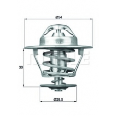 TX 74 89 MAHLE Термостат, охлаждающая жидкость